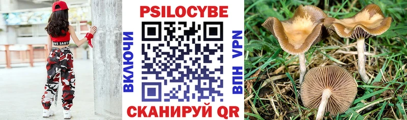 Галлюциногенные грибы прущие грибы  Бакал 
