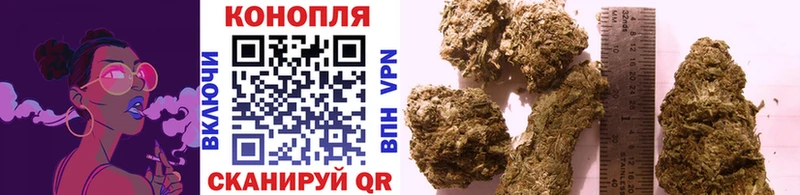 МАРИХУАНА план  Бакал 